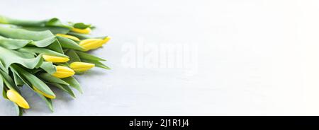 Bannière horizontale avec tulipes jaunes sur béton gris avec espace de copie. Arrière-plan pour la fête des femmes, le 8 mars jour de la Saint-Valentin, le 14 février. Pose à plat Banque D'Images