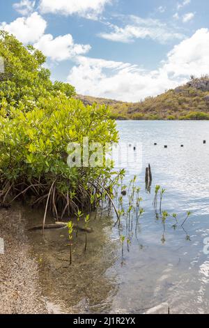 Belle baie de Santa Martha sur l'île de Curaçao dans les Caraïbes Banque D'Images