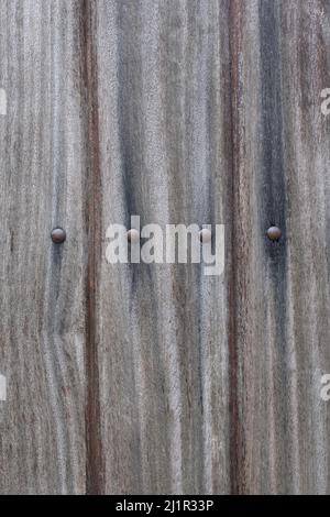 Vue verticale des anciennes planches grises de bois avec de grandes têtes d'ongle dans une rangée texture arrière-plan et papier peint. Copier l'espace. Banque D'Images