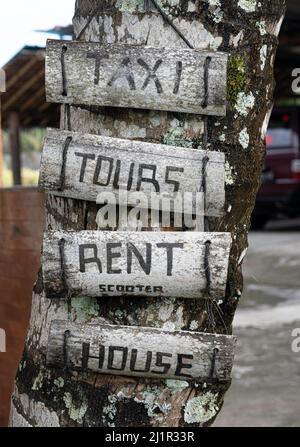 Panneaux en bois gris altérés avec des lettres d'information sur l'arbre dans l'île tropicale Banque D'Images
