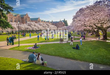 L'Université de Washington (communément appelée Washington ou UDub) est une université publique de recherche à Seattle, Washington, États-Unis. Trouvé Banque D'Images