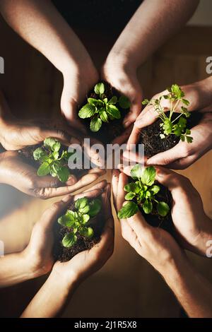 Chaque petit bit aide. Plan de culture d'un groupe de personnes tenant des plantes poussant hors du sol. Banque D'Images