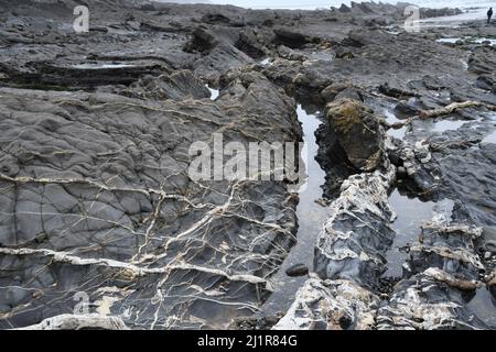 Plage de Crackington Haven montrant la formation géologique de mudstones et de grès avec des veines de calcite et de quartz.Cornwall.UK Banque D'Images