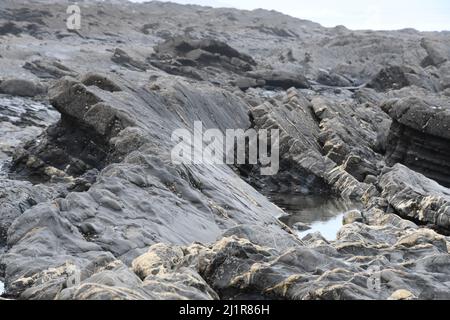 Plage de Crackington Haven montrant la formation géologique de mudstones et de grès avec des veines de calcite et de quartz.Cornwall.UK Banque D'Images