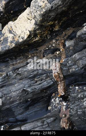 Plage de Crackington Haven montrant la formation géologique de mudstones et de grès avec des veines de calcite et de quartz.Cornwall.UK Banque D'Images