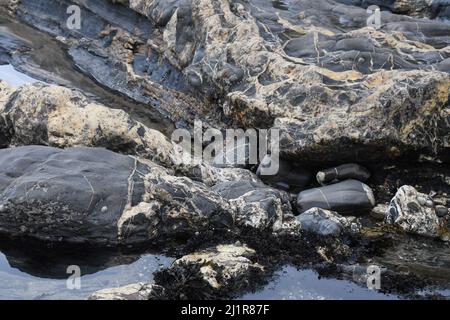 Plage de Crackington Haven montrant la formation géologique de mudstones et de grès avec des veines de calcite et de quartz.Cornwall.UK Banque D'Images