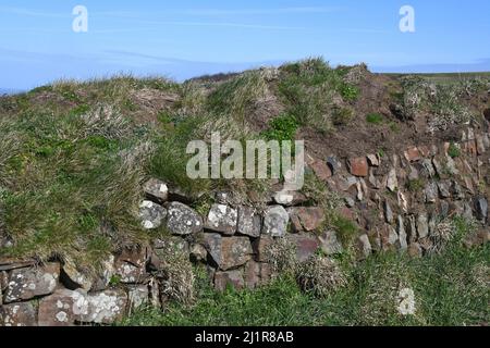 Mur de pierre sur le chemin de coût dans Cornwall.Construction était de grandes pierres et des roches et le sol rempli . Recouvert d'herbe, de grès et de lichen. Cornouailles.Engla Banque D'Images