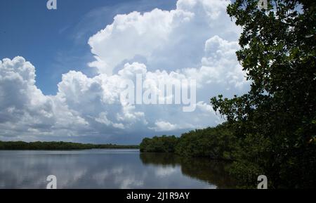 Nuages de Floride Banque D'Images