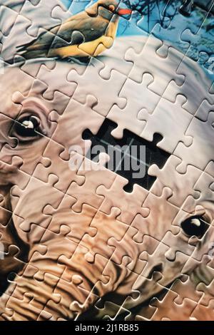 Concept de la faune menacée, un éléphant avec des pièces manquantes de puzzle, USA 2022 Banque D'Images