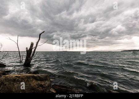 Troncs cassés sur un lac, sous un ciel dramatique et sombre avec une tempête entrante Banque D'Images