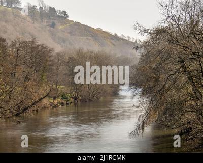 Brumeux tôt le matin, vue sur la rivière Torridge, Devon, Royaume-Uni. Banque D'Images