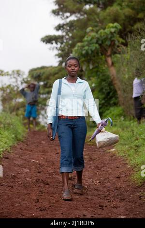 Prisca, 23 ans, maintenant étudiant, faisant du travail d'université à la maison. Elle est orpheline du sida et chef de son foyer de trois enfants plus jeunes, Meru, Kenya. Banque D'Images