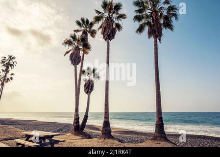 Palmiers de la plage d'État de Doheny. Dana point, Californie, États-Unis. Banque D'Images