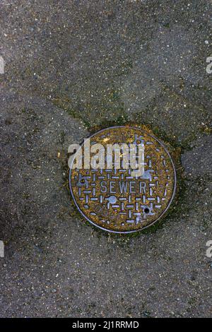 Couverture de trou d'homme d'égout entourée de ciment avec végétation verte. Banque D'Images