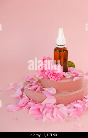 Huile essentielle de rose dans une bouteille de verre et fleurs de rose sur un podium rose. Huile de rose naturelle. Aromathérapie et cosmétiques .cosmétiques organiques Banque D'Images