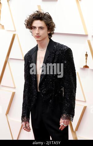 March 04: 90th Annual Academy Awards - 052 - Timothée Chalamet Fan