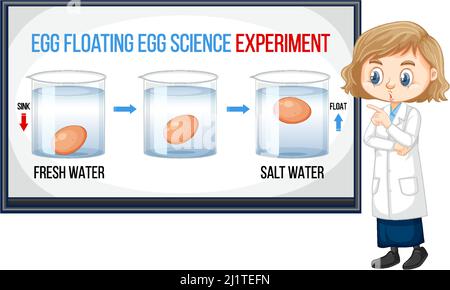 Fille scientifique expliquant l'illustration de l'expérience scientifique flottante d'oeuf Illustration de Vecteur