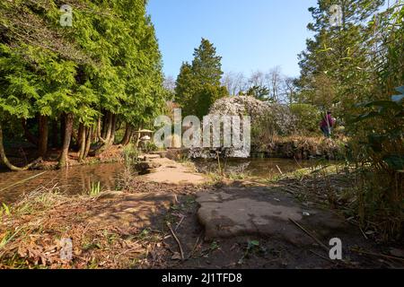 Jardin aquatique de style japonais à l'abbaye de Newstead, dans le Nottinghamshire, au Royaume-Uni Banque D'Images