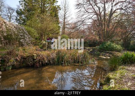 Jardin aquatique de style japonais à l'abbaye de Newstead, dans le Nottinghamshire, au Royaume-Uni Banque D'Images