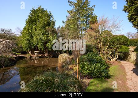 Jardin aquatique de style japonais à l'abbaye de Newstead, dans le Nottinghamshire, au Royaume-Uni Banque D'Images