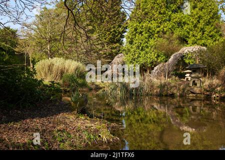 Jardin aquatique de style japonais à l'abbaye de Newstead, dans le Nottinghamshire, au Royaume-Uni Banque D'Images