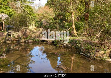 Jardin aquatique de style japonais à l'abbaye de Newstead, dans le Nottinghamshire, au Royaume-Uni Banque D'Images