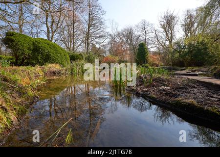 Jardin aquatique de style japonais à l'abbaye de Newstead, dans le Nottinghamshire, au Royaume-Uni Banque D'Images