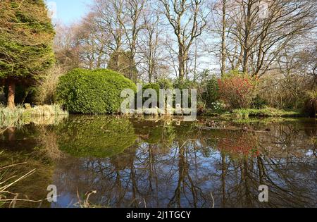 Jardin aquatique de style japonais à l'abbaye de Newstead, dans le Nottinghamshire, au Royaume-Uni Banque D'Images