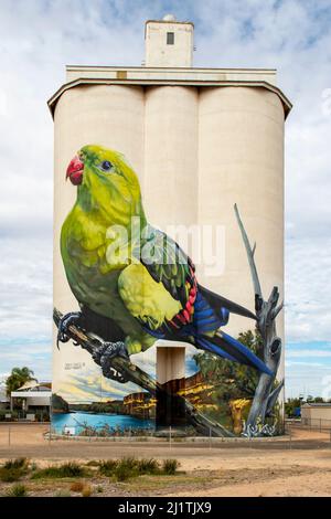 Regent Parrot Silo Art, Waikerie, Australie méridionale, Australie Banque D'Images