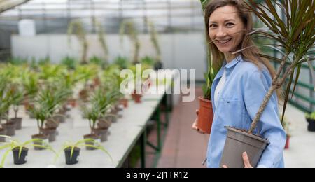 une femme achète des fleurs dans une boutique de jardin. Une jeune femme choisit des plantes ornementales dans un marché de serre de fleurs, qui détient deux dracaena et zamiokulkas Banque D'Images