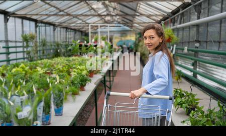 Le concept de jardinage, de plantation et de shopping. Belle femme choisit des plantes d'intérieur et des pots dans une serre ou un centre de jardin. debout avec une voiturette Banque D'Images