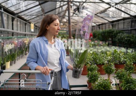 jeune belle femme achète une maison en pot dans un supermarché. Tient une plante de phalaenopsis dans ses mains. Le concept de jardinage, de plantation et Banque D'Images