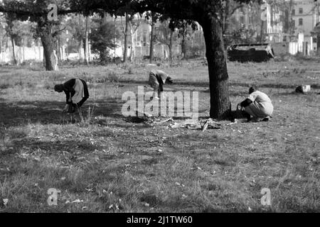 Frauen beim Sammeln von Eichelen im Garten der Neuen Reichskanzlei, 1946. Femmes collectant des acornes dans le jardin de la Chancellerie de New Reich, 1946. Banque D'Images