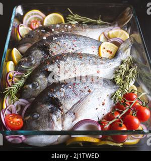 dorado poisson sur fond noir Banque D'Images