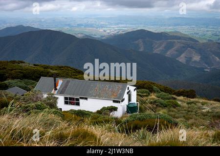 Jumbo Hut, circuit Holdsworth-Jumbo, chaîne de montagnes de Tararua, Île du Nord, Nouvelle-Zélande Banque D'Images