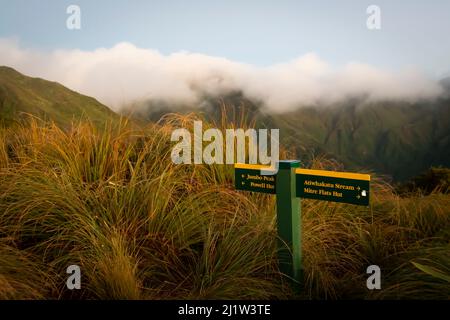 Panneau de direction sur le circuit Holdsworth-Jumbo, Tararua Ranges, Île du Nord, Nouvelle-Zélande Banque D'Images