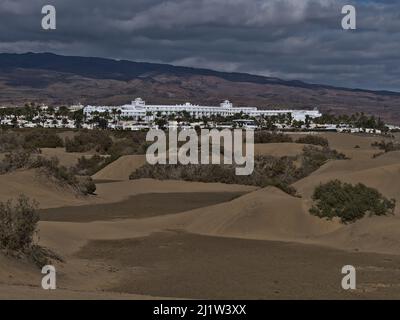 Vue sur la réserve naturelle populaire Dunas de Maspalomas dans le sud de l'île Gran Canaria, Espagne avec des palmiers entre dunes de sable et grand hôtel. Banque D'Images