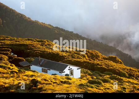 Jumbo Hut, circuit Holdsworth-Jumbo, chaîne de montagnes de Tararua, Île du Nord, Nouvelle-Zélande Banque D'Images
