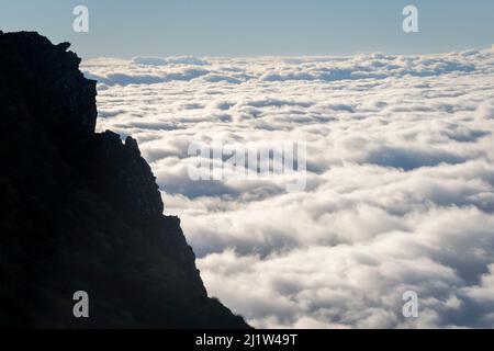 Nuages bas au-dessous des montagnes, au-dessus des plaines de Wairarapa, circuit Holdsworth-Jumbo, chaîne des Tararua, Île du Nord, Nouvelle-Zélande Banque D'Images