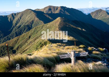 Panneau de direction sur le circuit Holdsworth-Jumbo, Tararua Ranges, Île du Nord, Nouvelle-Zélande Banque D'Images