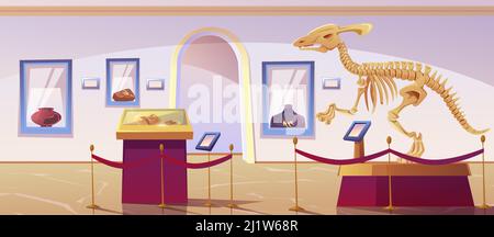 Intérieur du musée historique avec squelette de dinosaure et expositions archéologiques. Illustration de dessins animés vectoriels de l'exposition de paléontologie et d'archéologie Illustration de Vecteur