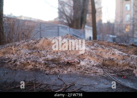 Fonte de la neige et de la boue au début du printemps. Banque D'Images