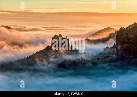 Paysage avec des formations rocheuses et le sommet de Winterstein dans la région de Zschand du Parc national de la Suisse saxonne couvert de brouillard au lever du soleil. Banque D'Images