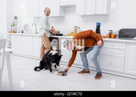 Homme mature mettant bol avec nourriture près de la frontière chien collie et femme gaie cuisine dans la cuisine Banque D'Images