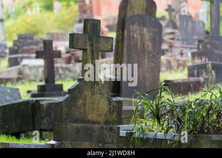 Une image de derrière des croix et des pierres de tête mouillées par des pluies récentes, dans un cimetière ou un cimetière de Sydney, Nouvelle-Galles du Sud, Australie Banque D'Images