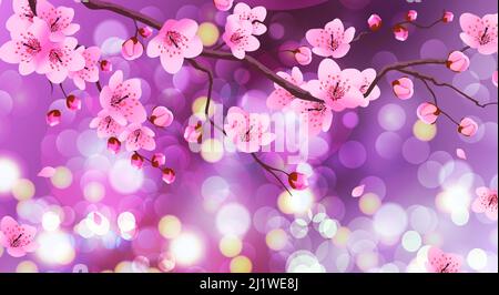 Fond de printemps avec cerisiers en fleurs Illustration de Vecteur
