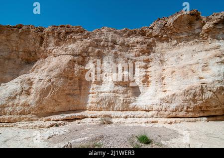 Face rocheuse naturellement érodée photographiée à Wadi Peres, lit de rivière saisonnier dans le désert du Negev du Nord-est, à la frontière sud du Judée Banque D'Images