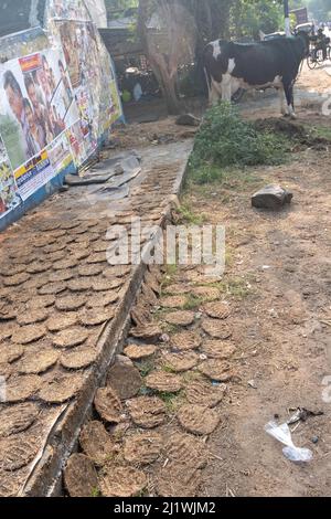 Dung de vache à vendre sur le marché de Tiruvannamalai, Tamil Nadu, Inde la Dung de vache sèche est utilisée comme combustible pour la cuisine et le chauffage Banque D'Images