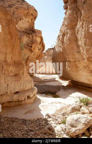 Face rocheuse naturellement érodée photographiée à Wadi Peres, lit de rivière saisonnier dans le désert du Negev de Pâques du Nord, à la frontière sud du Deser judéo Banque D'Images