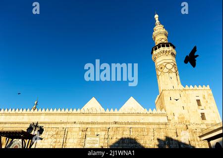 Syrie. Damas. La Mosquée Omeyyade (Grande Mosquée de Damas) Banque D'Images